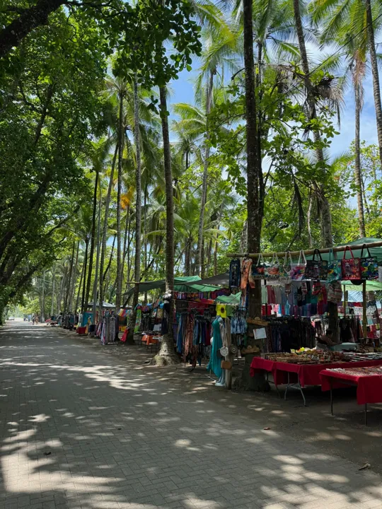 Roadside stalls beneath tall palms