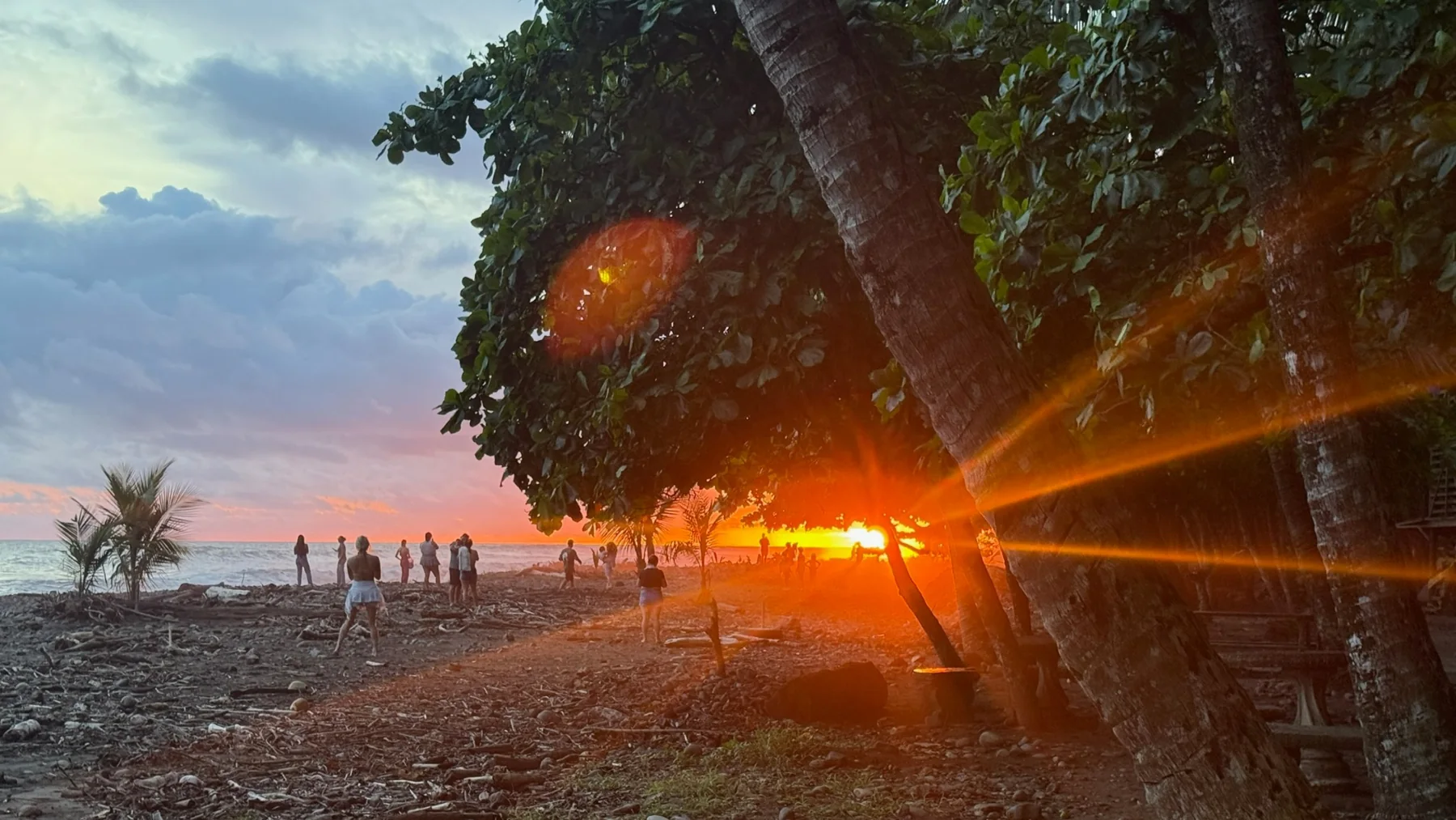 Sunset glowing through trees beside the beach