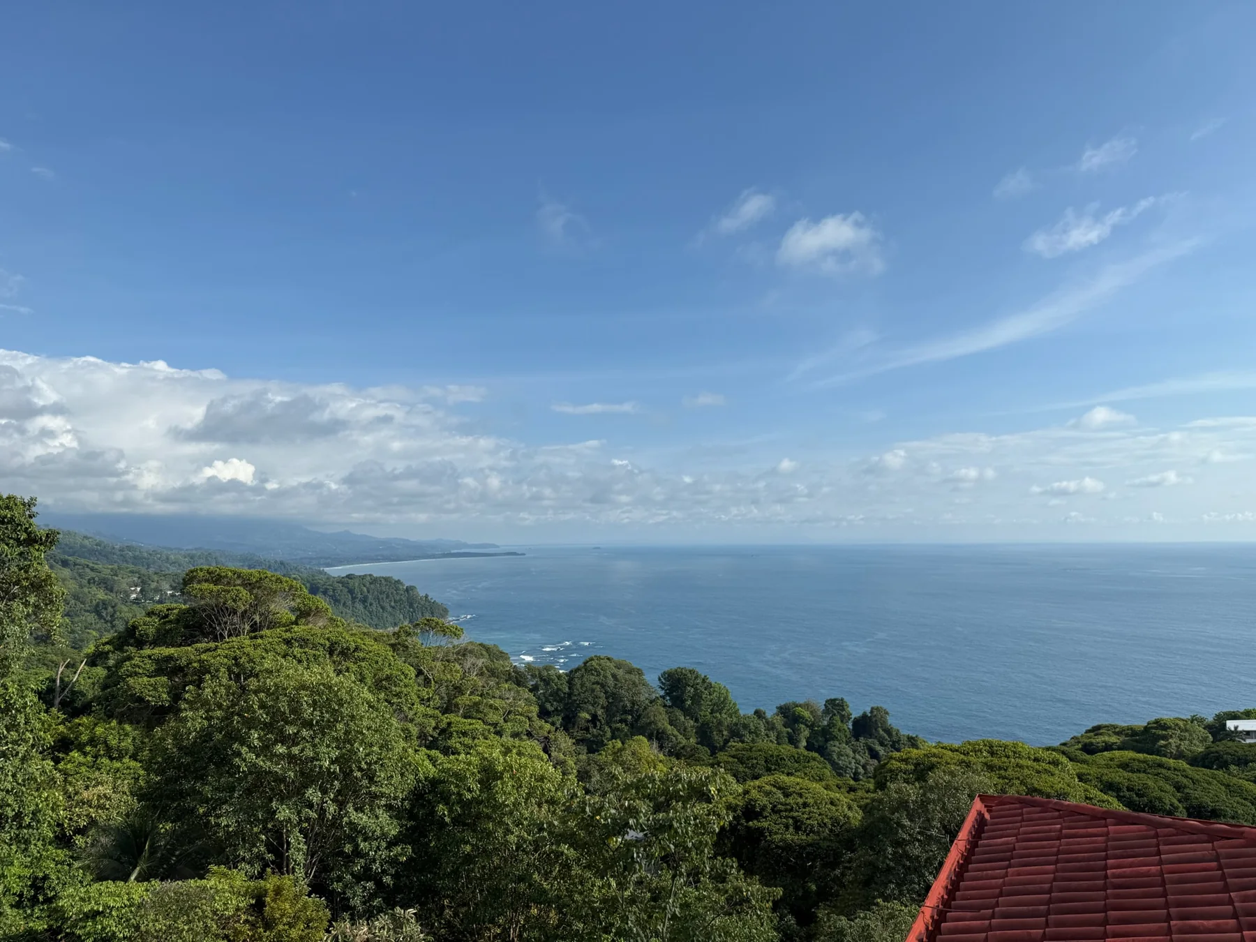 Pacific Ocean view across green coastal hills