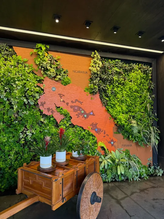 Cafe seating beside a wall of living plants