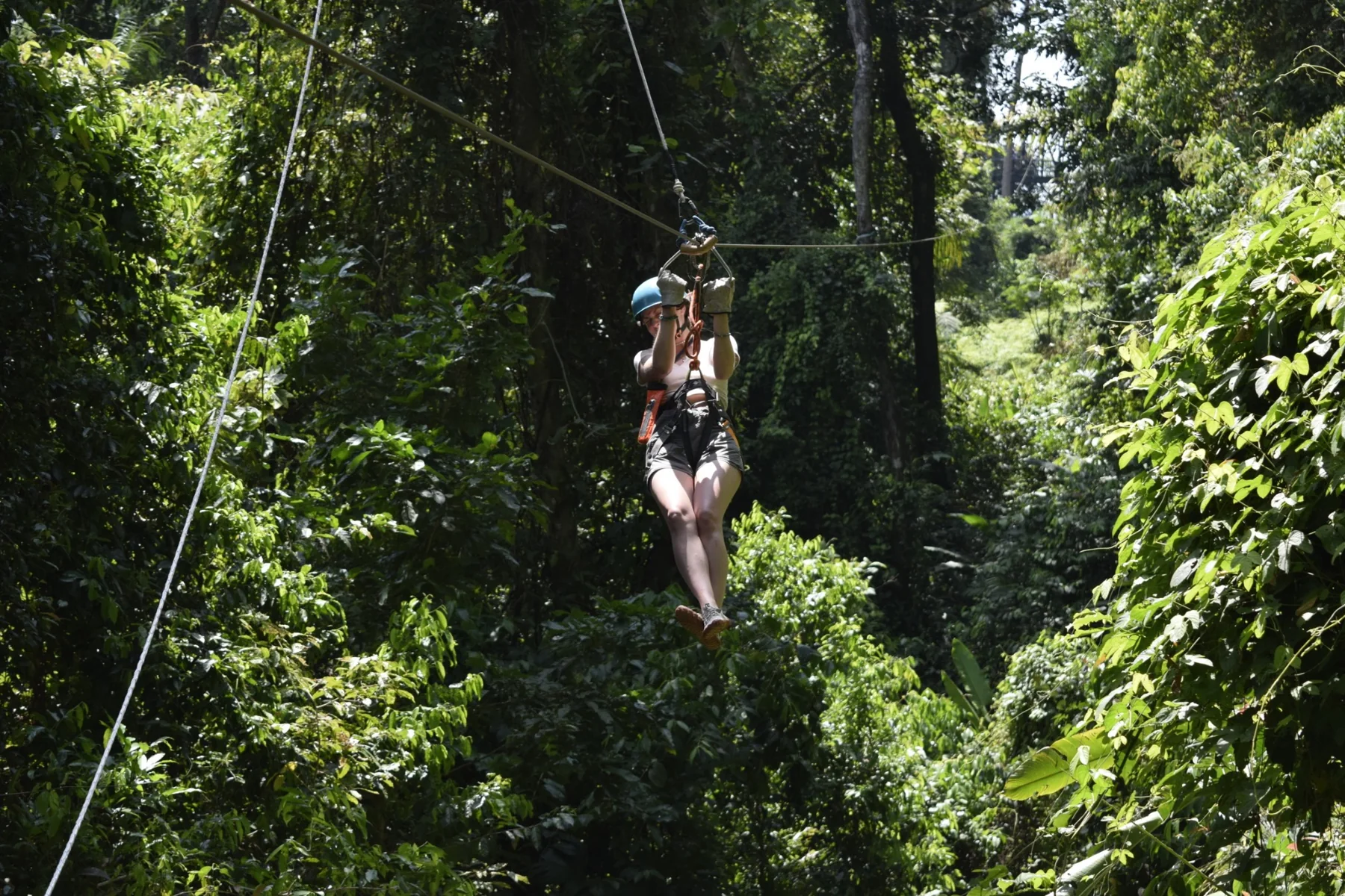 Ziplining above dense green forest
