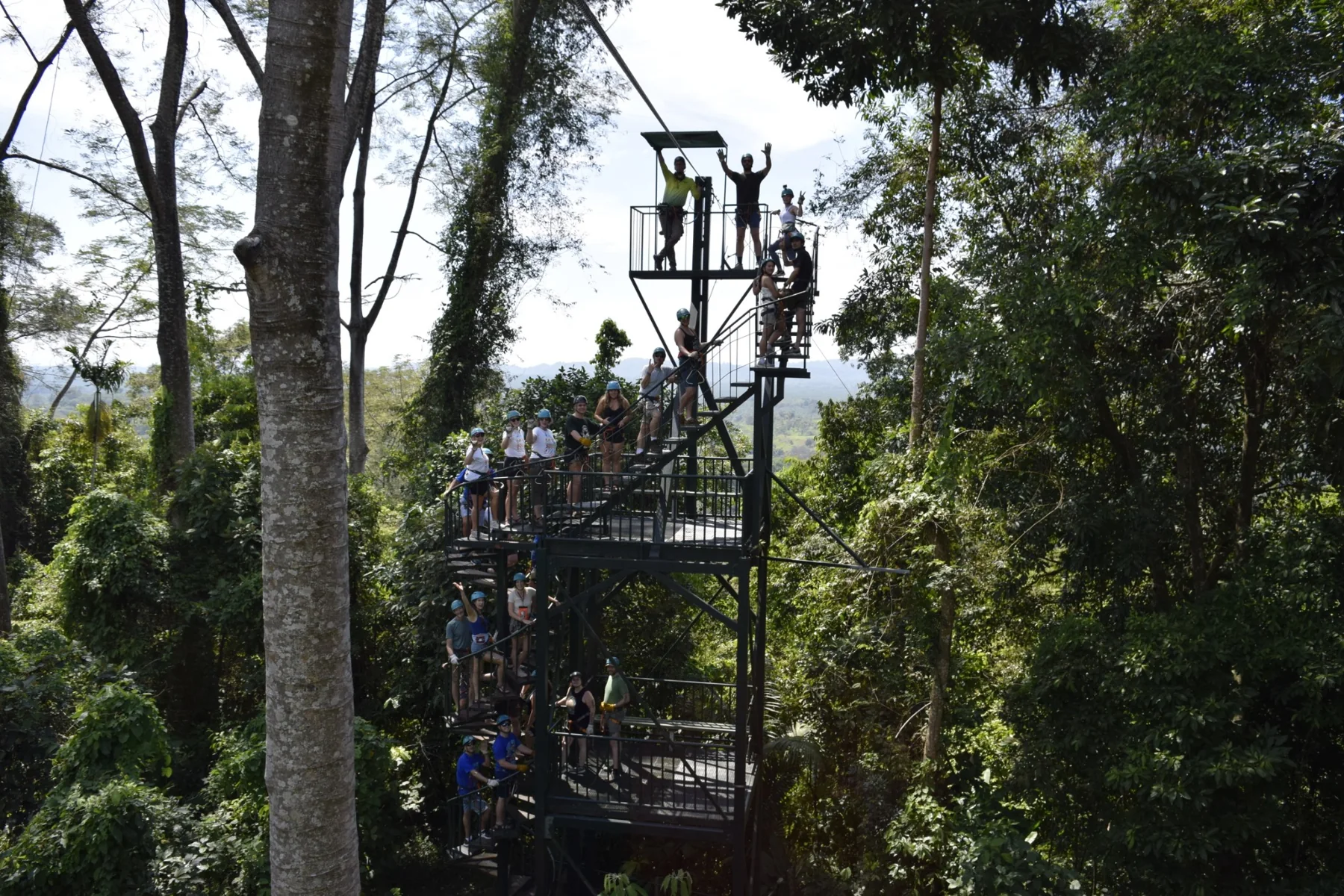Elevated zipline platform among the trees