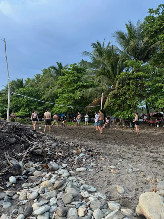 Horseback riders on a rocky beach beneath palms