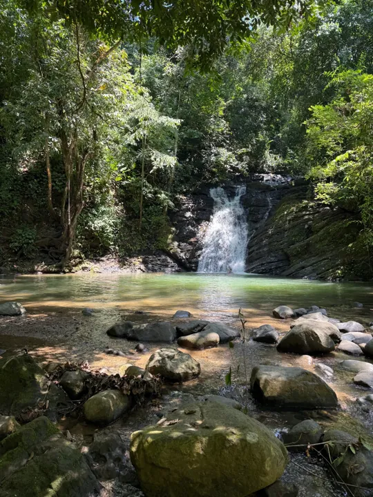 Waterfall flowing into a shaded rainforest pool