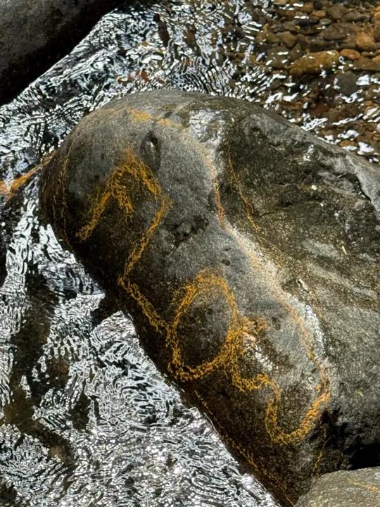 Spiral markings on a rock beside flowing water