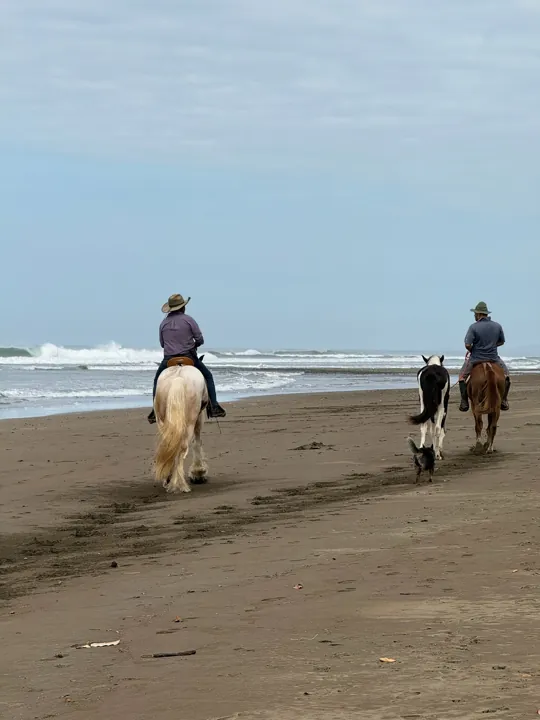 Horseback riders following the shoreline