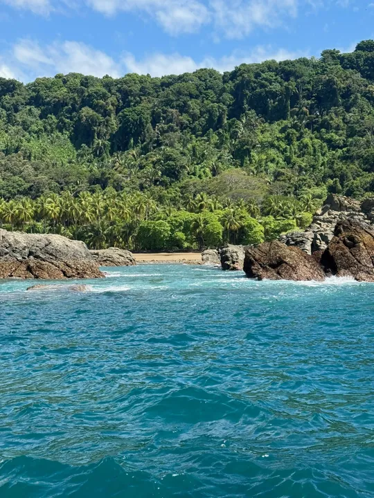 Turquoise ocean beside a forested rocky cove