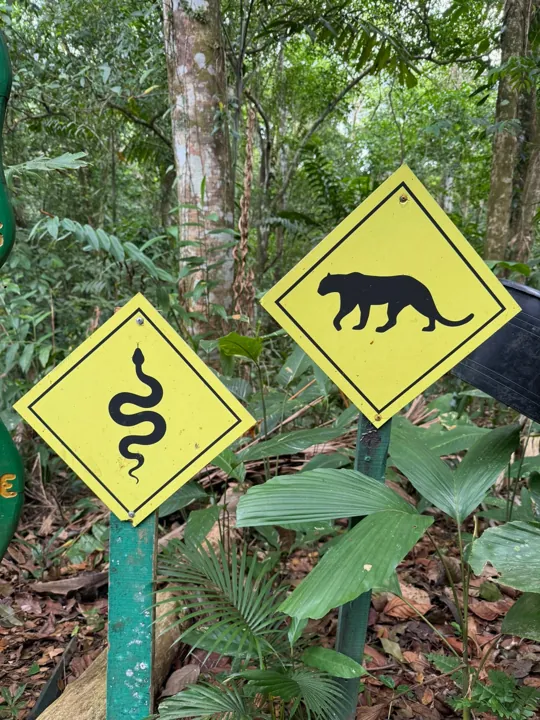 Snake and wild cat crossing signs along a forest path
