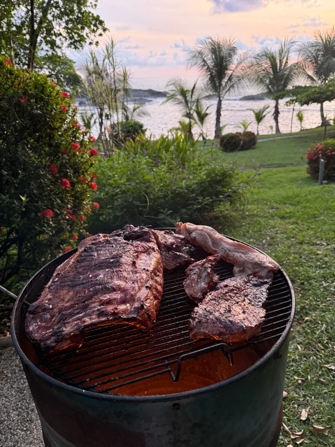 Grilling outdoors with a garden view