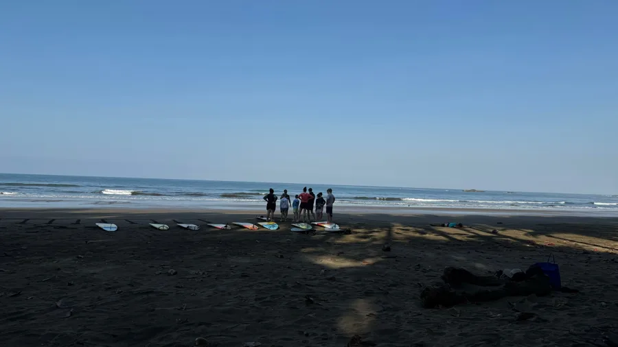 Surf session on the beach