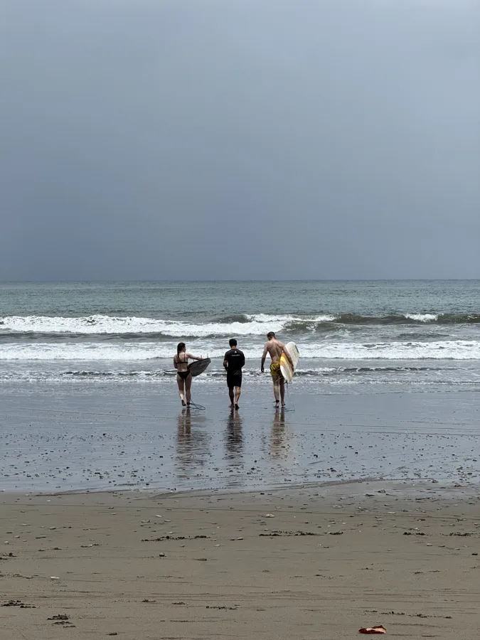 Surf session on the beach