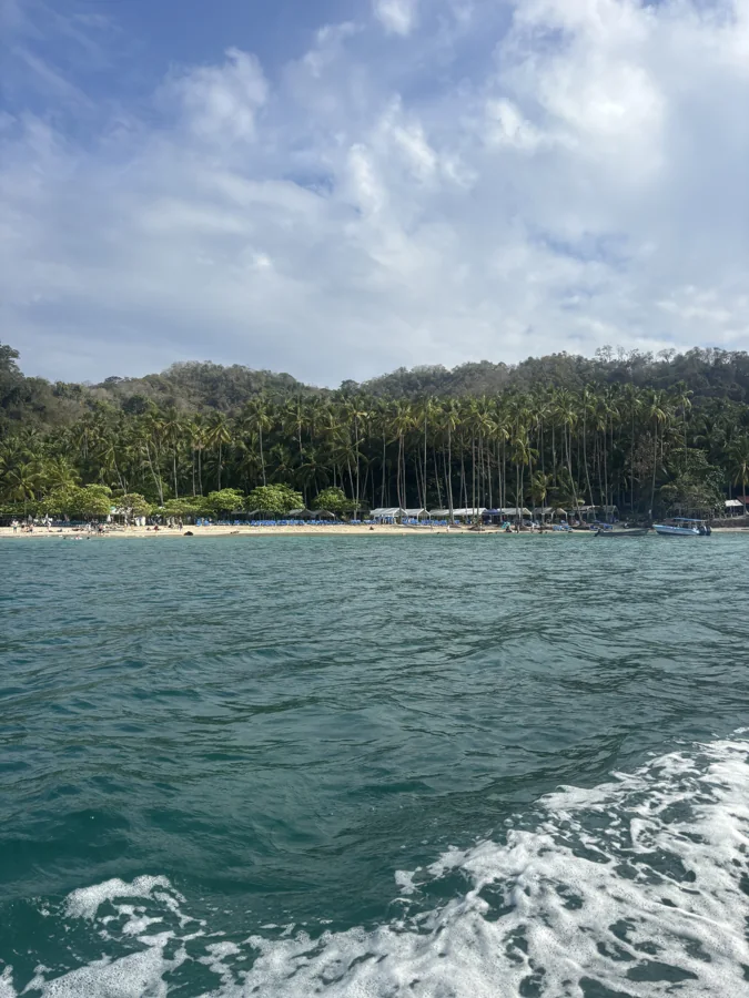 The tropical coastline from the water