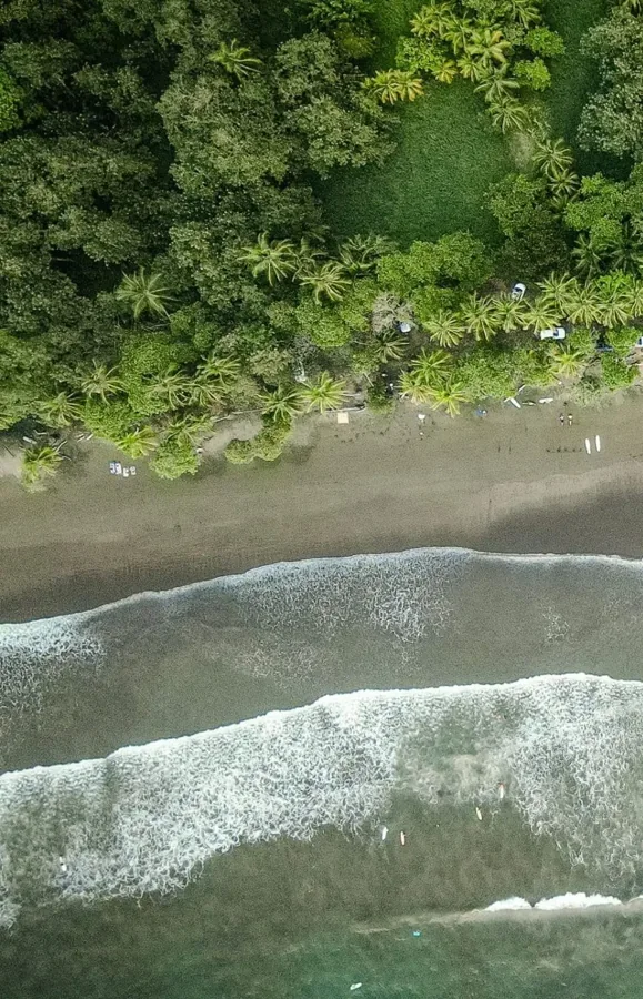 The coastline from above