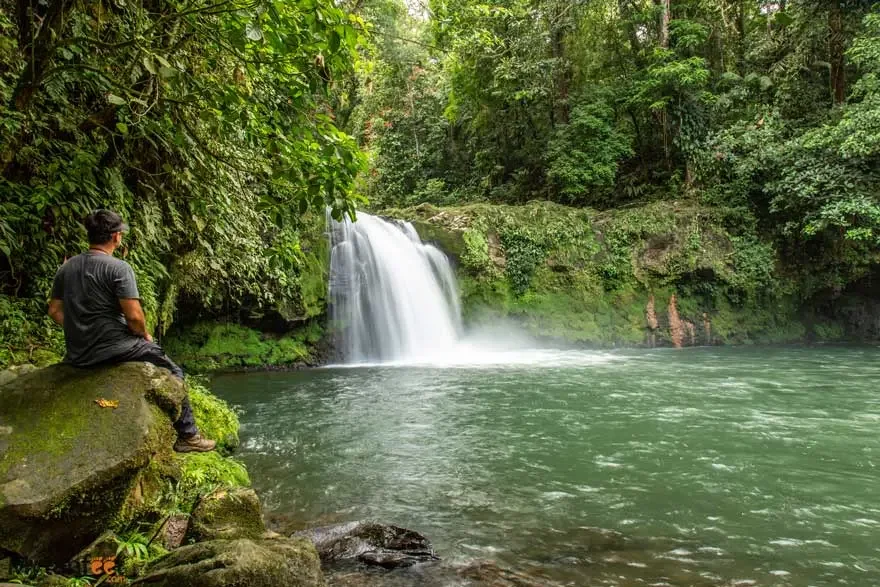 A waterfall surrounded by rainforest