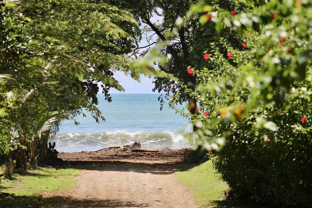 Tropical path opening toward a quiet Costa Rican beach