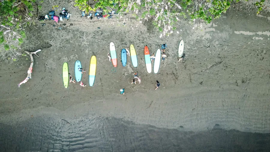 Boards lined up for a group lesson